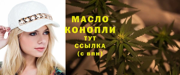 прущий лед Пересвет